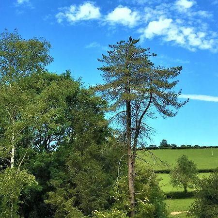 LlanboidyHeddfan住宿加早餐旅馆 外观 照片