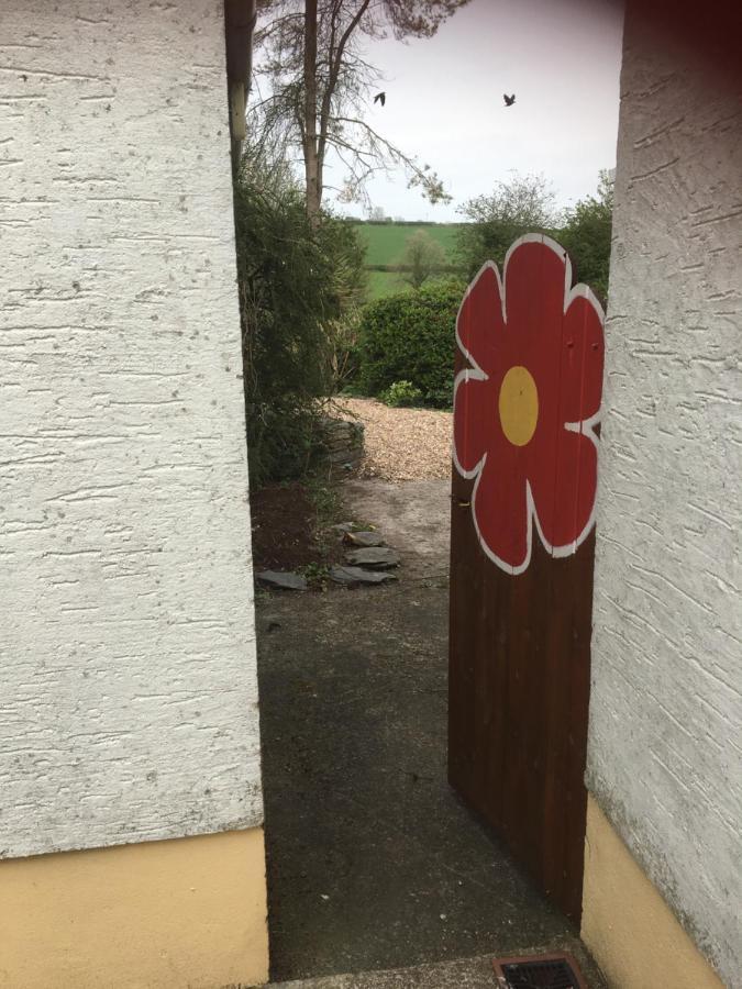 LlanboidyHeddfan住宿加早餐旅馆 外观 照片