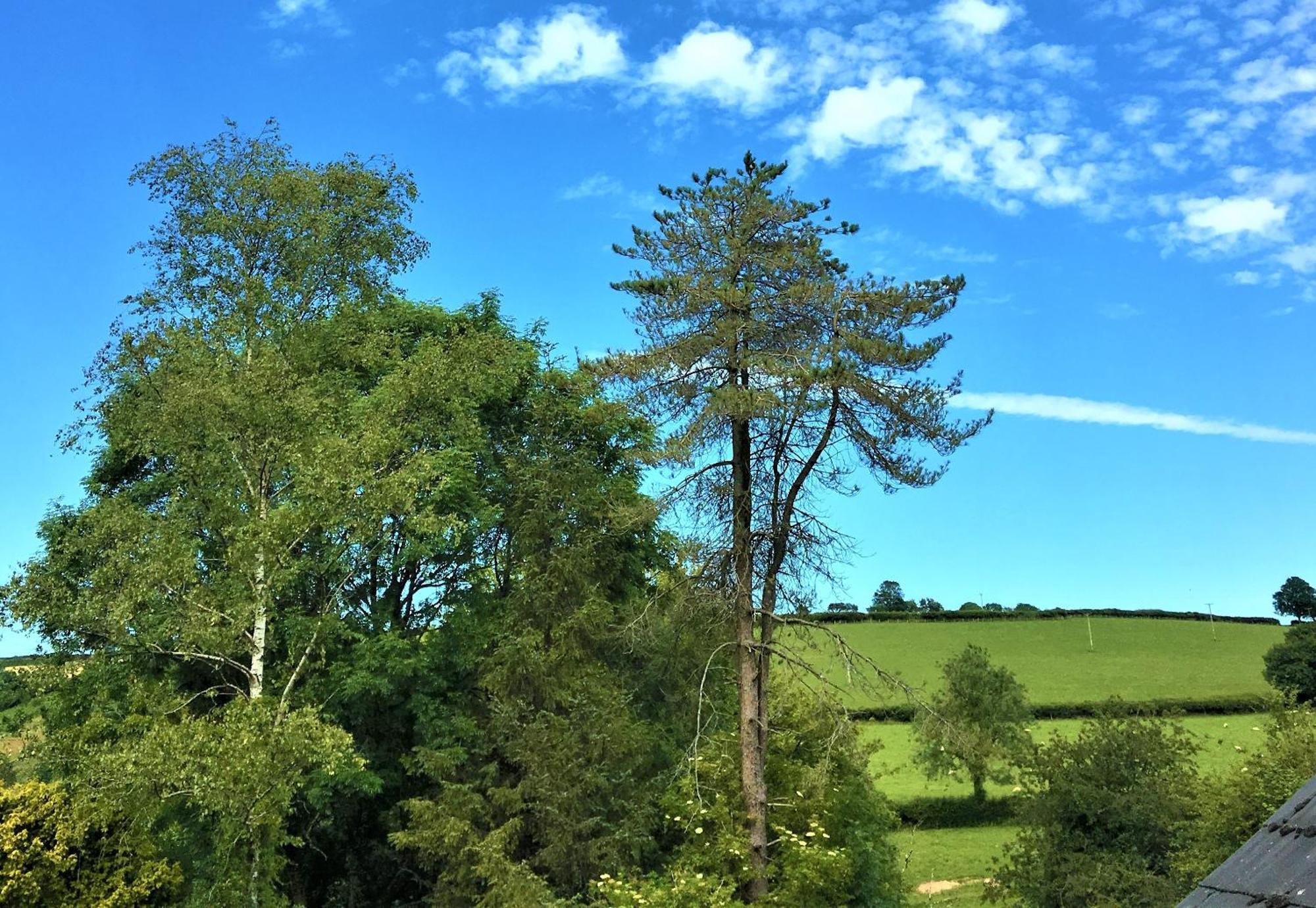 LlanboidyHeddfan住宿加早餐旅馆 外观 照片