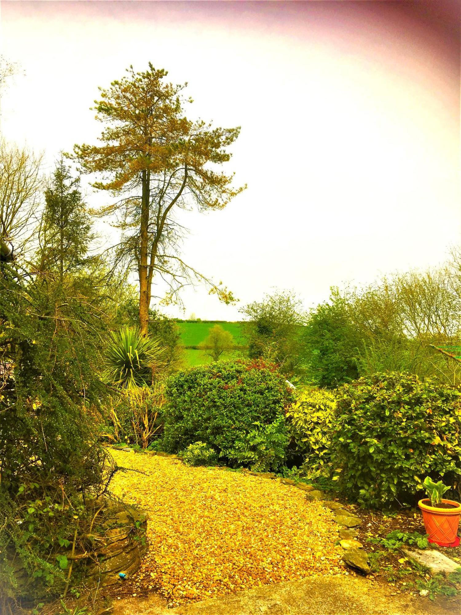 LlanboidyHeddfan住宿加早餐旅馆 外观 照片